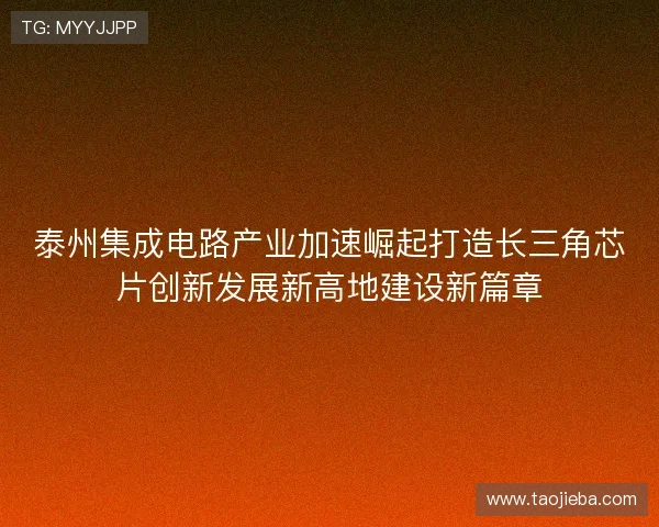 泰州集成电路产业加速崛起打造长三角芯片创新发展新高地建设新篇章
